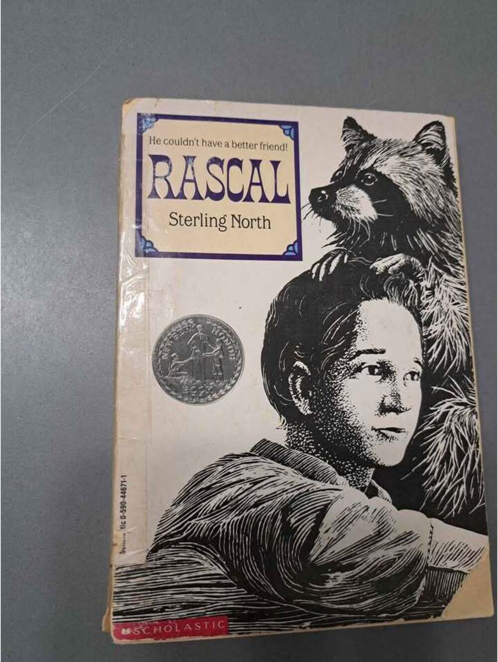Vintage 1963 first edition of Rascal by Sterling North (paperback)